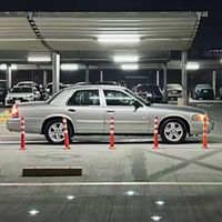 mgdeer
