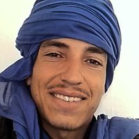 user87614261