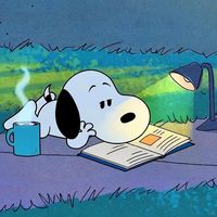 caro_books_