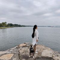 原聲 - auntie Lin