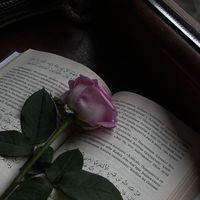 fatjona_1012