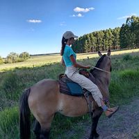 userruser717