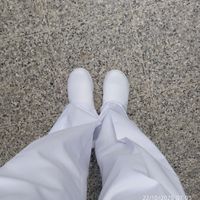 krismy.f1lms