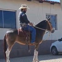 divinoalves28