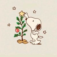 56_kimby