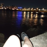 noe_miy29