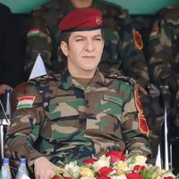 farmandamansorbarzanii