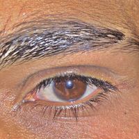 privet_20244
