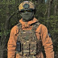 оригинальный звук