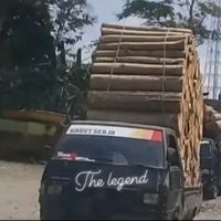 suara asli - kabutsenja49