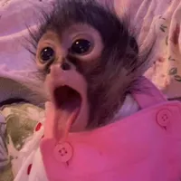 original sound - mari________0802