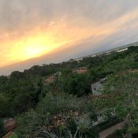 wellingtonsilva46093