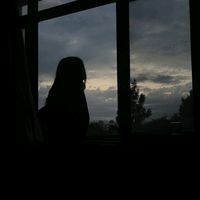 storywa_549