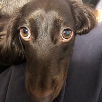 オリジナル楽曲 - kuri_kuri99