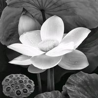 phrapakrrmthan