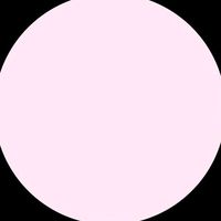 _butterfl1yy