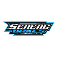 suara asli - SENENG ORKES