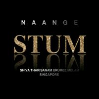 original sound - S.T.U.M_SG