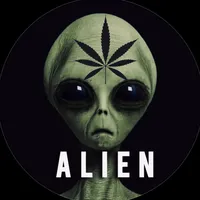 original sound - alien_18y