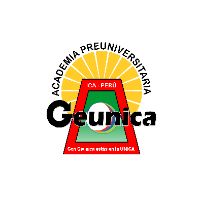 academiageunicaperu