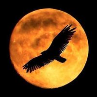 оригинальный звук