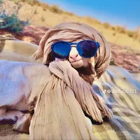 original sound - rsff448