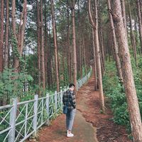jonathanbui.bdt