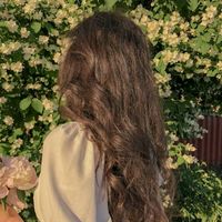 aliaa.ahmed2014