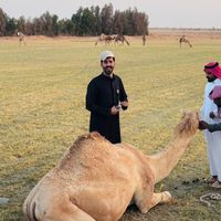 الصوت الأصلي