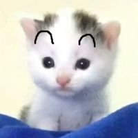 pp_.930