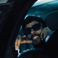 الصوت الأصلي