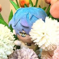 nhạc nền - Chó bẹt giê lông dài