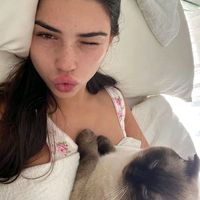 orijinal ses