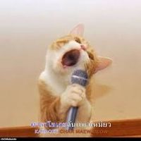 milkshake_mew