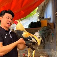 tranquangfarm_1