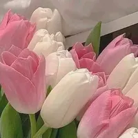 original sound - yaaaaaaaaaaaaaaulya