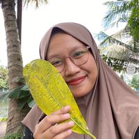 andariofficial