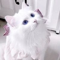 オリジナル楽曲 - erilly