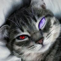 khong.co.ten.2k