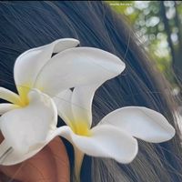 original sound - {ခင်မို့မို့အေး}√