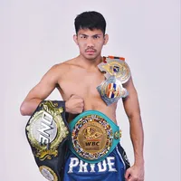 เพชรดํา เพชรยินดี