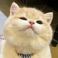 เสียงต้นฉบับ - 🏳️‍🌈~__PHonE__••__🏳️‍🌈