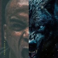 the_wolfmma