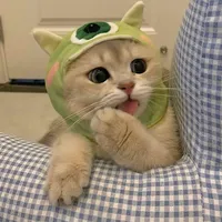 original sound - alking.0.2