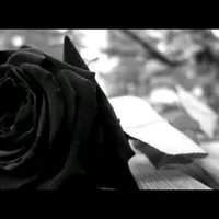 original sound - reinitha12