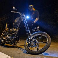 falan59