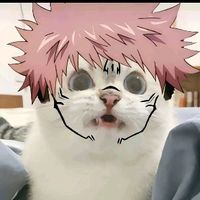 suara asli