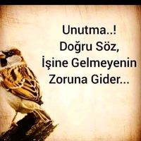 _tokat_6