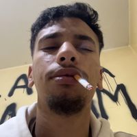 mvdvrv00