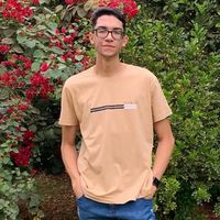 gui_damis_